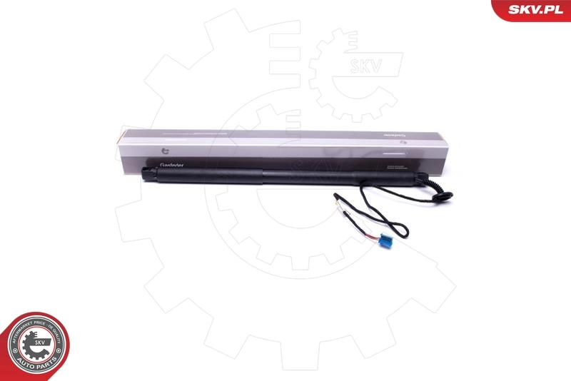 Electric Motor, tailgate